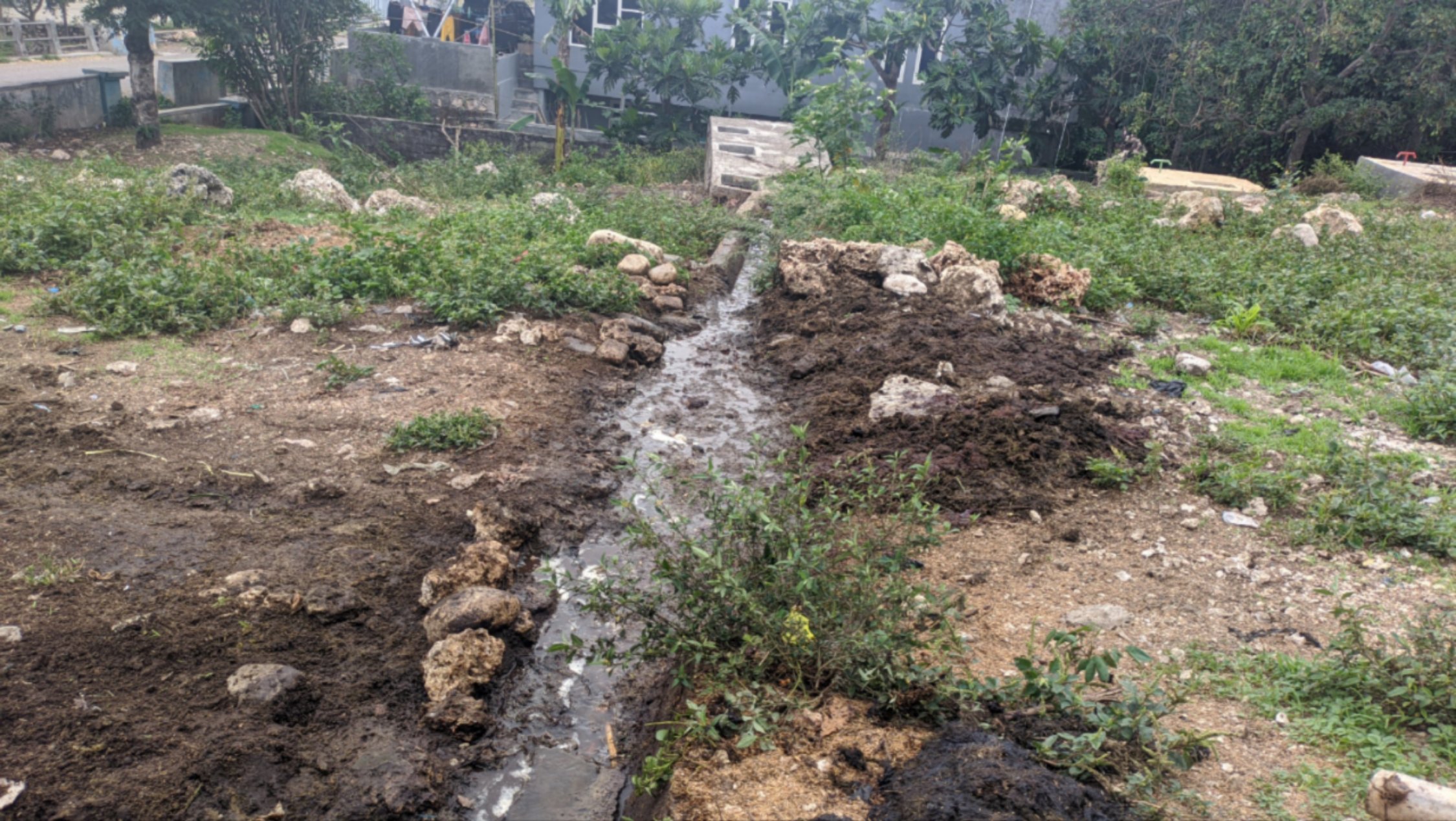 IMG_20231216_081633_1702686631266_1702687668683