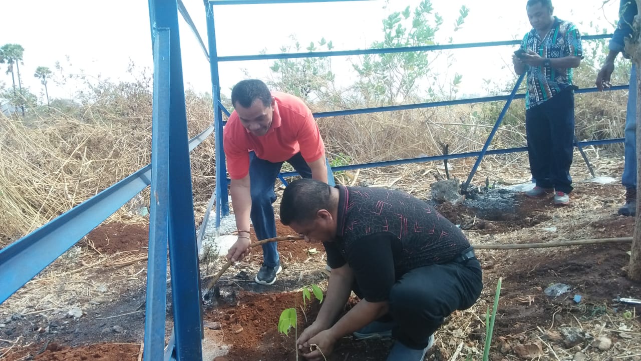 PDAM Kabupaten Kupang Adakan Penanam 50 Anakan Bayam Kalimantan