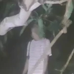Perna Kabur Dari Rumah Sakit Jiwa, Seorang Pemuda Akhiri Hidup Dengan Gantung Diri