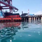 Limbah PLTU Timor-1 Diduga Mencemari Rumput Laut di Kabupaten Kupang, Kadis DLHK Mengelak