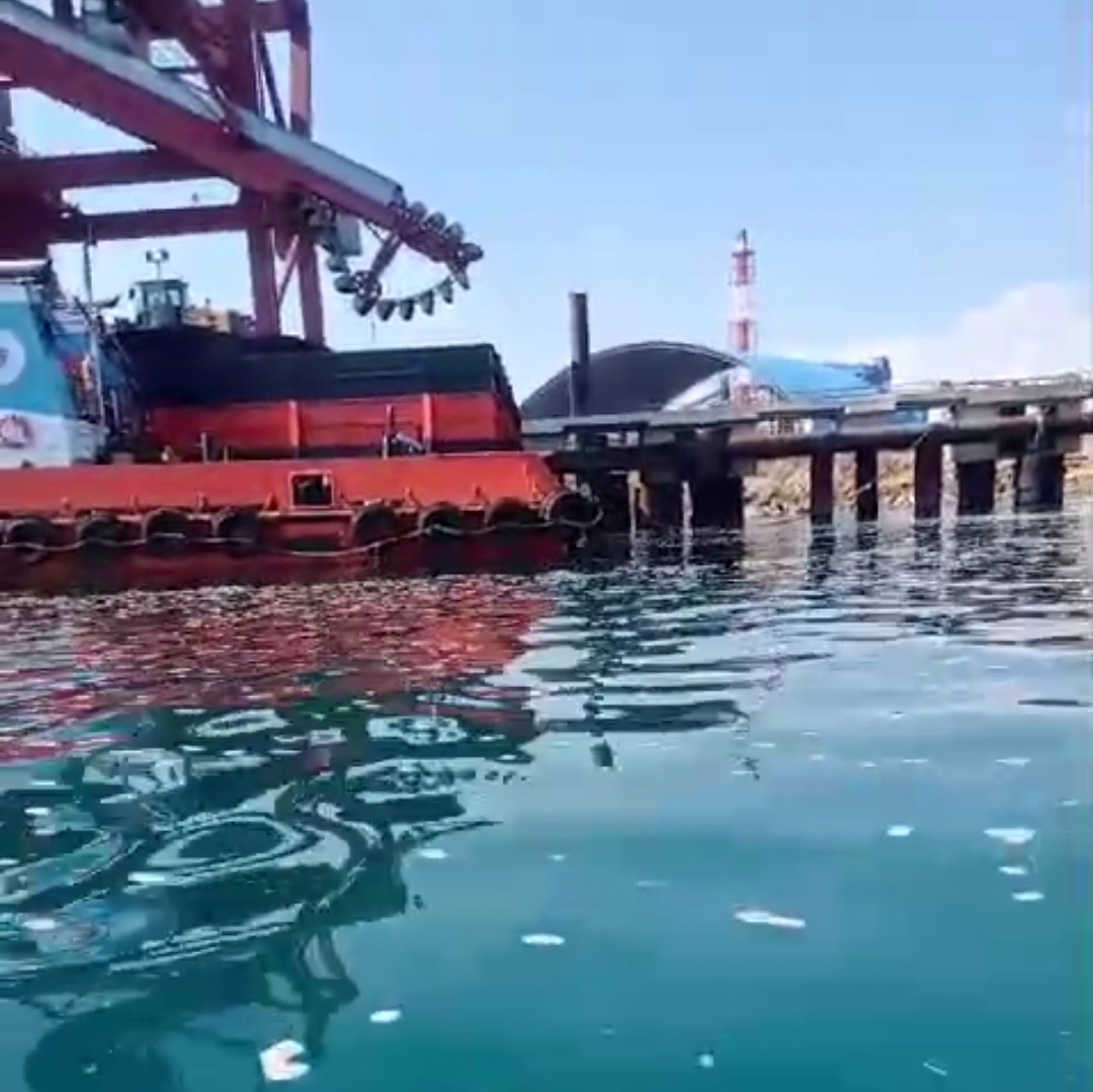 Limbah PLTU Timor-1 Diduga Mencemari Rumput Laut di Kabupaten Kupang, Kadis DLHK Mengelak