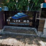 5 Bulan Tak Terima Gaji Puluhan Karyawan PT Flobamor, Terlilit Hutang