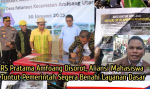 RS Pratama Amfoang Disorot, Aliansi