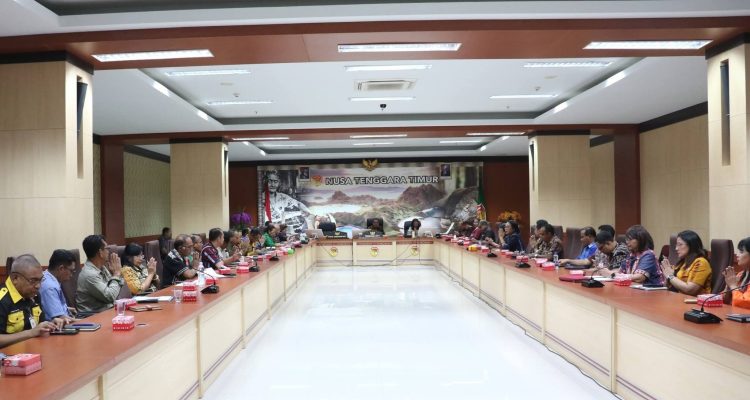 FB_IMG_1780109436648 Pemprov NTT Kaji Pembentukan FTZ Indonesia Timor Leste