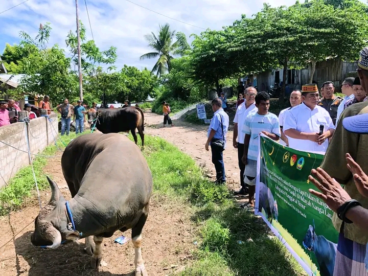 IMG-20260528-WA0018 Bantuan Sapi Kurban Presiden RI Hadir di Manggarai Timur, Wabup Tarsi Sampaikan Pesan Kebersamaan