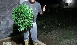 Darius Beda Daton