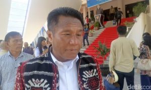 Lahan Diduga Digusur, Ratusan Pohon Jati Hilang, Warga Somasi Pemkab Rote Ndao dan PT Nindya Karya