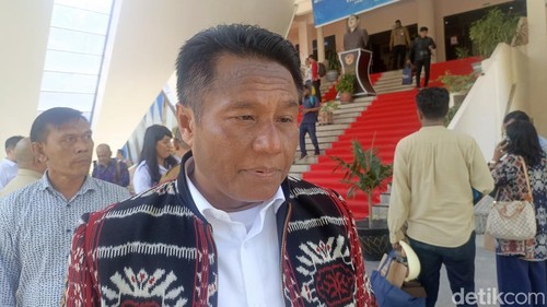 Lahan Diduga Digusur, Ratusan Pohon Jati Hilang, Warga Somasi Pemkab Rote Ndao dan PT Nindya Karya