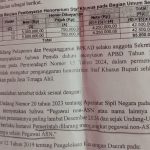 IMG_20260805_211540 BPK Bongkar Cacat Regulasi Pengangkatan Staf Khusus Bupati Kupang