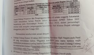 IMG_20260805_211540 BPK Bongkar Cacat Regulasi Pengangkatan Staf Khusus Bupati Kupang