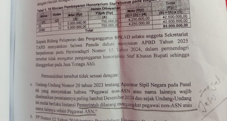 IMG_20260805_211540 BPK Bongkar Cacat Regulasi Pengangkatan Staf Khusus Bupati Kupang