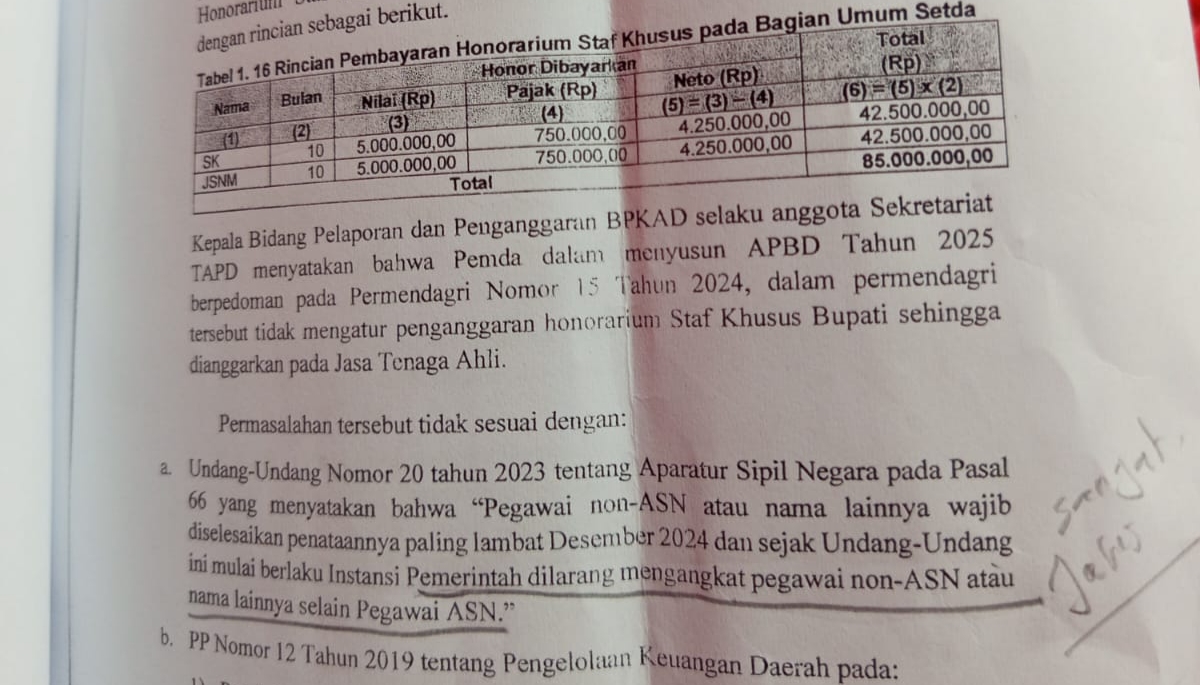 BPK Bongkar Cacat Regulasi Pengangkatan Staf Khusus Bupati Kupang