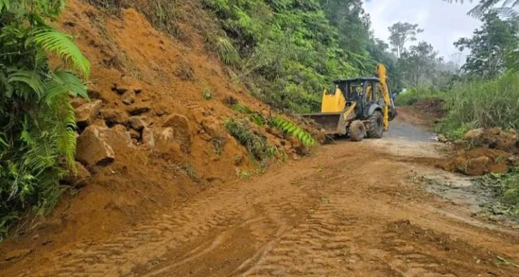 IMG_20260820_090444 Terdampak Bencana Gempa, Dinas PUPR Manggarai, Bersihkan Material Longsor di Jalan Ruteng-Golo Cala