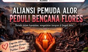 Aliansi Pemuda Alor Buka Donasi untuk Korban Bencana Flores